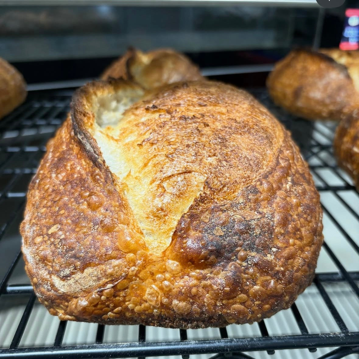 Austin Baking Co organic white sourdough, baked in Newstead