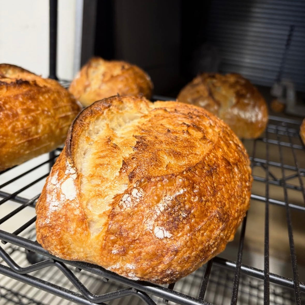 Austin Baking Co organic white sourdough, baked in Newstead